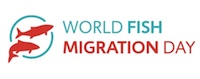 World Fish Migration Day logo